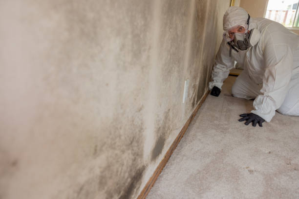 Best Commercial Mold Inspection  in Bargersville, IN